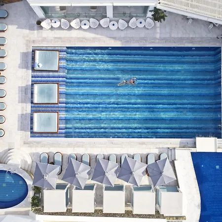 Myconian Kyma, A Member Of Design