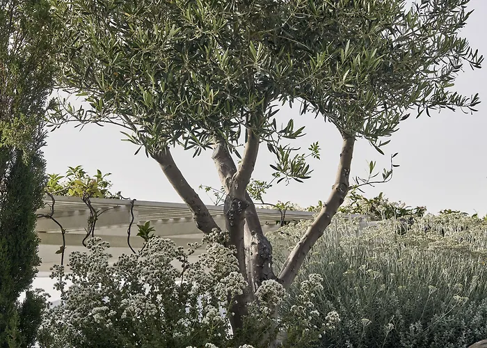 Hotell Myconian Kyma, A Member Of Design